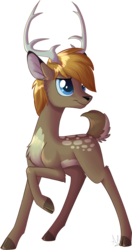 Size: 871x1652 | Tagged: safe, artist:sirzi, oc, oc only, deer, fordeer, original species, deer oc, simple background, solo, transparent background