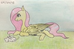 Size: 1024x689 | Tagged: safe, artist:cecidentello, angel bunny, fluttershy, pegasus, pony, g4, duo, profile, prone, smiling, solo focus, traditional art, wings