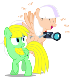 Size: 1668x1782 | Tagged: safe, artist:zacatron94, oc, oc only, oc:sweep star, oc:viva reverie, pegasus, pony, camera, female, mare, simple background, transparent background, vector