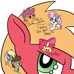 Size: 2500x2500 | Tagged: safe, artist:yourfavoritelove, apple bloom, big macintosh, derpy hooves, doctor whooves, scootaloo, sweetie belle, time turner, earth pony, pony, g4, big brother, cutie mark crusaders, doctor who, female, gentle giant, giant pony, giant/tiny, high res, i really like her mane, macro, macro/micro, male, mane, micro, mouth hold, really big mac, size difference, sonic screwdriver, the doctor, tiny, tiny ponies