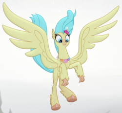 Size: 710x660 | Tagged: safe, screencap, princess skystar, classical hippogriff, hippogriff, g4, my little pony: the movie, cropped, feathered fetlocks, female, landing, solo, spread wings, wings