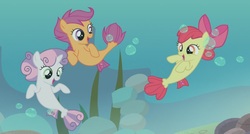 Size: 877x471 | Tagged: safe, screencap, apple bloom, scootaloo, sweetie belle, seapony (g4), unicorn, g4, surf and/or turf, bubble, cutie mark crusaders, dorsal fin, female, filly, fish tail, foal, horn, ocean, open mouth, ribbon, rock, sea-mcs, seaponified, seapony apple bloom, seapony scootaloo, seapony sweetie belle, seaweed, smiling, species swap, tail, underwater, water