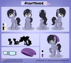 Size: 5400x4801 | Tagged: safe, artist:raspberrystudios, oc, oc only, oc:nightshade (pegasus), absurd resolution, commission, reference sheet