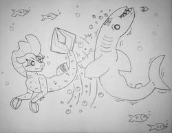 Size: 1024x796 | Tagged: safe, artist:jamestkelley, tempest shadow, fish, seapony (g4), shark, g4, my little pony: the movie, female, fight, seaponified, sketch, solo, species swap, traditional art, underwater