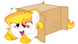 Size: 1920x1080 | Tagged: artist needed, safe, oc, oc only, oc:storm shield, pony, box, cute, horse shoes, pony in a box, simple background, solo, transparent background