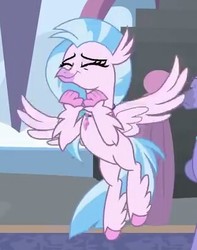 Size: 311x395 | Tagged: safe, screencap, silverstream, classical hippogriff, hippogriff, g4, school daze, cropped, eyes closed, female, flying, solo