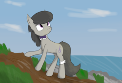 Size: 3000x2048 | Tagged: safe, octavia melody, earth pony, pony, g4, bowtie, female, high res, looking up, ocean, smiling, solo, walking