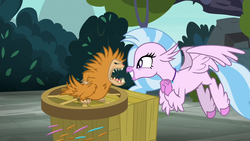 Size: 1280x720 | Tagged: safe, screencap, silverstream, classical hippogriff, hippogriff, pukwudgie, g4, school daze, cart, clasped hands, duo, feathered fetlocks, flying, grin, smiling, snarling, spikes