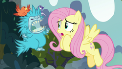Size: 1280x720 | Tagged: safe, screencap, constance, fluttershy, bird, pegasus, pony, pukwudgie, songbird, g4, school daze, agitated, angry, carrying, cute, female, flying, hero, heroine, mare, sharp teeth, snarling, teeth, worried