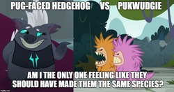 Size: 943x499 | Tagged: safe, edit, edited screencap, screencap, grubber, hedgehog, pukwudgie, g4, my little pony: the movie, school daze, comparison, pug-faced hedgehog