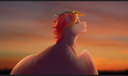 Size: 2560x1538 | Tagged: safe, artist:1an1, oc, oc only, oc:quiet wind, pegasus, pony, eyes closed, male, multicolored hair, next generation, offspring, parent:rainbow dash, solo, stallion, sunset