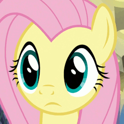 Size: 780x780 | Tagged: safe, edit, edited screencap, editor:seiken, screencap, fluttershy, pony, fake it 'til you make it, g4, animated, cropped, cute, female, gif, reaction image, shyabetes, solo, wow