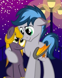 Size: 775x979 | Tagged: safe, artist:pony-paint, oc, oc only, bat pony, earth pony, pony, duo, female, hug, male, night, shipping, show accurate, stars, straight, street lamp