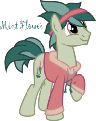 Size: 784x986 | Tagged: safe, artist:pony-paint, oc, oc only, earth pony, pony, clothes, hoodie, male, raised hoof, show accurate, simple background, solo, stallion, transparent background