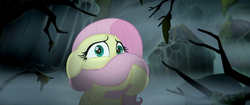 Size: 1920x804 | Tagged: safe, screencap, fluttershy, pegasus, pony, g4, my little pony: the movie, female, fog, gasp, hiding, hippogriffia, mare, mount aris, scared, solo, tree branch