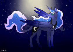 Size: 2900x2100 | Tagged: safe, artist:animalstamp, princess luna, alicorn, pony, g4, cutie mark, ethereal mane, female, frown, high res, jewelry, leonine tail, looking back, mare, night, regalia, solo, starry mane, stars