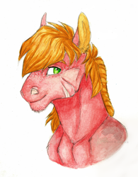 Size: 1024x1314 | Tagged: safe, artist:biakela, big macintosh, earth pony, pony, g4, bust, colored ears, freckles, male, muscles, scar, simple background, solo, stallion, traditional art, watercolor painting, white background