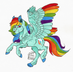 Size: 900x898 | Tagged: safe, artist:biakela, rainbow dash, pegasus, pony, g4, chest fluff, colored wings, cutie mark, ear fluff, female, looking at you, mare, marker drawing, multicolored wings, simple background, smiling, solo, spread wings, traditional art, white background, wings