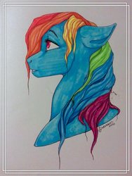 Size: 1024x1362 | Tagged: safe, artist:mylittleasspit, rainbow dash, pony, g4, bust, female, mare, marker drawing, solo, traditional art, wet mane