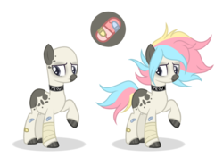 Size: 1024x720 | Tagged: safe, artist:mintoria, oc, oc only, oc:pip, earth pony, pony, bandage, bandaid, choker, male, raised hoof, reference sheet, simple background, solo, stallion, transparent background