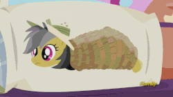 Size: 498x280 | Tagged: safe, screencap, daring do, quibble pants, rainbow dash, earth pony, pegasus, pony, g4, stranger than fan fiction, animated, body pillow, clothes, daring daki, female, male, mare, out of context, stallion, you know for kids