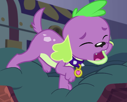 Size: 871x702 | Tagged: safe, screencap, spike, spike the regular dog, dog, equestria girls, g4, my little pony equestria girls: legend of everfree, cropped, eyes closed, male, paws