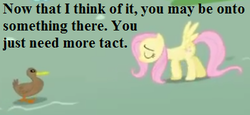 Size: 351x162 | Tagged: safe, edit, edited screencap, editor:korora, screencap, fluttershy, duck, pegasus, pony, g4, griffon the brush off, cropped, duo, female, mare, op has a point (reaction image), op is a duck (reaction image), reaction image, text