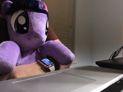 Size: 3088x2320 | Tagged: safe, twilight sparkle, human, g4, apple watch, high res, irl, irl human, photo, plushie