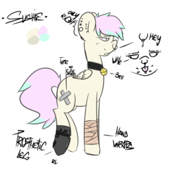 Size: 1200x1200 | Tagged: safe, artist:sushie, oc, oc only, oc:sushie, pegasus, pony, amputee, bell, bell collar, collar, cutiemarking, hand wraps, piercing, prosthetic limb, prosthetics, reference sheet, simple background, solo, transparent background