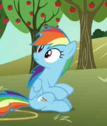 Size: 752x881 | Tagged: safe, screencap, rainbow dash, pegasus, pony, g4, grannies gone wild, apple tree, cropped, female, mare, rope, sitting, solo, tree