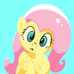 Size: 1200x1200 | Tagged: safe, artist:kemofoo, fluttershy, pony, g4, cute, female, mare, shyabetes, simple background, solo