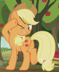Size: 851x1033 | Tagged: safe, screencap, applejack, earth pony, pony, g4, grannies gone wild, apple tree, butt, cropped, discovery family logo, female, mare, one eye closed, plot, raised hoof, solo, tree