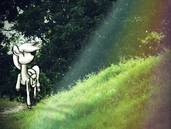 Size: 2816x2112 | Tagged: safe, artist:and the rainfall, pony, forest, high res, le soldat pony, rainbow, solo