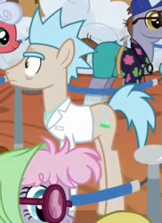 Size: 335x460 | Tagged: safe, screencap, pony rick, earth pony, pony, g4, grannies gone wild, clothes, cropped, glasses, lab coat, male, ponified, rick and morty, rick sanchez, solo focus, stallion