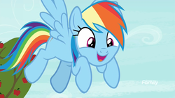 Size: 1920x1080 | Tagged: safe, screencap, rainbow dash, pegasus, pony, g4, grannies gone wild, apple tree, cute, dashabetes, discovery family logo, excited, female, flying, mare, solo, tree