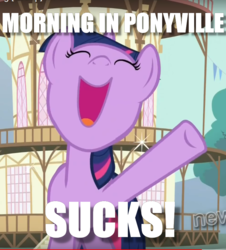 Size: 711x788 | Tagged: safe, edit, edited screencap, screencap, twilight sparkle, pony, g4, magical mystery cure, cropped, female, image macro, meme, morning in ponyville, singing, solo