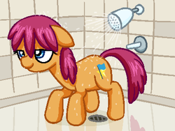 Size: 800x600 | Tagged: safe, artist:rangelost, oc, oc only, oc:trailblazer, earth pony, pony, cyoa:d20 pony, colored, cyoa, description is relevant, female, mare, pixel art, reflection, shower, solo, story included, wet