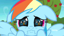 Size: 1600x900 | Tagged: safe, edit, edited screencap, screencap, gallus, rainbow dash, griffon, pegasus, pony, g4, grannies gone wild, school daze, :<, animated, apple tree, close-up, cute, daaaaaaaaaaaw, dashabetes, eye reflection, eye shimmer, female, floppy ears, frown, gallabetes, hnnng, looking at you, male, mare, offscreen character, pov, puppy dog eyes, puppy-eyed gallus, reflection, sad, solo focus, tree, wavy mouth, weapons-grade cute