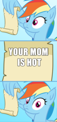 Size: 482x1024 | Tagged: safe, artist:saphire-systrine, rainbow dash, pony, g4, grannies gone wild, my little pony: friendship is magic, comic, exploitable meme, female, image macro, meme, message, rainbow dash reading a scroll, scroll, solo, template, truth