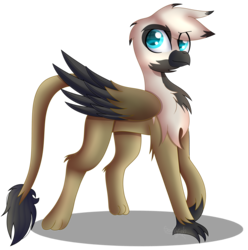 Size: 2385x2408 | Tagged: safe, artist:tomboygirl45, oc, oc only, oc:sky, griffon, high res, simple background, solo, transparent background, two toned wings