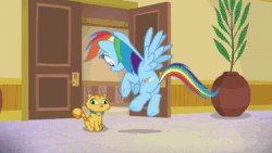 Size: 1920x1080 | Tagged: safe, screencap, derp cat, rainbow dash, cat, pegasus, pony, g4, grannies gone wild, :p, animated, derp, female, lemon squeezy, silly, sound, tongue out, webm