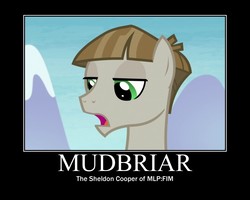 Size: 750x600 | Tagged: safe, edit, edited screencap, screencap, mudbriar, g4, the maud couple, male, motivational poster, sheldon cooper, solo, the big bang theory