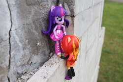 Size: 6000x4000 | Tagged: safe, artist:artofmagicpoland, sunset shimmer, twilight sparkle, alicorn, equestria girls, g4, doll, equestria girls minis, female, irl, long live the king, photo, reference, the lion king, toy, twibitch sparkle, twilight sparkle (alicorn)