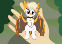 Size: 3132x2236 | Tagged: safe, artist:badumsquish, derpibooru exclusive, oc, oc only, oc:dingbat, bat pony, pony, bat pony oc, bell, collar, cute, fangs, hand, high res, holding a pony, honduran white bat, in goliath's palm, looking at you, male, offscreen character, on back, pov, short hair, show accurate, slit pupils, smiling, solo, tiny ponies