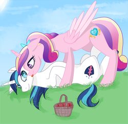 Size: 1748x1695 | Tagged: safe, artist:lisa400, derpibooru exclusive, princess cadance, shining armor, alicorn, pony, unicorn, g4, basket, cute, female, licking, looking at each other, lying down, male, married couple, picnic basket, ship:shiningcadance, shipping, straight, tongue out