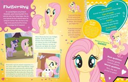 Size: 1020x655 | Tagged: safe, angel bunny, fluttershy, twilight sparkle, bee, bird, insect, pegasus, pony, unicorn, friendship is magic, g4, official, ultimate guide, flower, flower in hair, stock vector, text, unicorn twilight