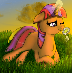 Size: 1371x1392 | Tagged: safe, artist:nuxersopus, oc, oc only, pony, cloud, flower, grass, magic, sky, solo, sunset