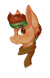 Size: 767x1200 | Tagged: safe, artist:person8149, oc, oc only, oc:oak leaf, earth pony, pony, bust, clothes, male, portrait, scarf, simple background, solo, stallion, transparent background