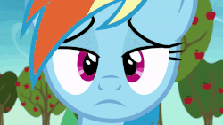 Size: 800x450 | Tagged: safe, screencap, applejack, rainbow dash, earth pony, pegasus, pony, grannies gone wild, season 8, spoiler:s08, animated, anime eyes, apple, apple tree, applejack is not amused, applejack's hat, big eyes, bipolar, close-up, cowboy hat, cute, daaaaaaaaaaaw, dashabetes, dilated pupils, eye reflection, eye shimmer, eyes closed, face of mercy, faic, female, floppy ears, flying, food, frown, gif, grin, happy, hat, hnnng, hooves on face, joy, lidded eyes, looking at you, mare, offscreen character, open mouth, pov, puppy dog eyes, rainbow dash is best facemaker, rapeface, reflection, sad face, shrunken pupils, smiling, solo focus, spread wings, surprised, talking, teeth, tree, unamused, wavy mouth, weapons-grade cute, wide eyes, wings