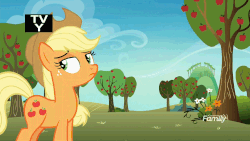 Size: 1280x720 | Tagged: safe, screencap, applejack, rainbow dash, earth pony, pegasus, pony, g4, grannies gone wild, season 8, animated, apple tree, applejack is not amused, discovery family logo, dreamworks face, duo, duo female, female, frown, gif, grin, looking at each other, mare, smiling, tree, tv-y, unamused